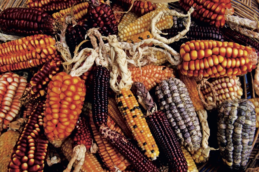 Pachamanca