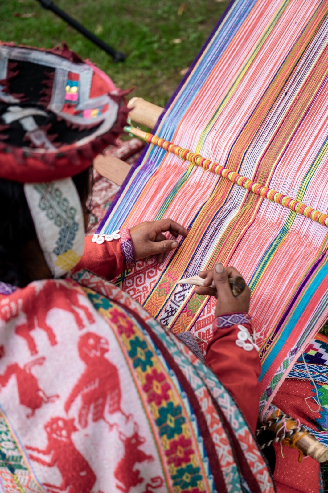 Andean Textiles & Medicinal Plants